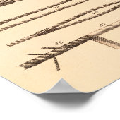 Poster Noeuds vintages Et Rigging (Coin)