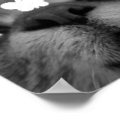 Poster Noir&Blanc 17yro kitty (Coin)