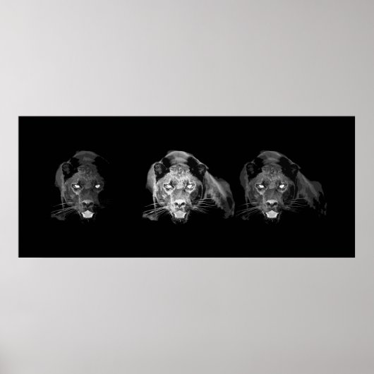 Poster noir & blanc Jaguar (Devant)