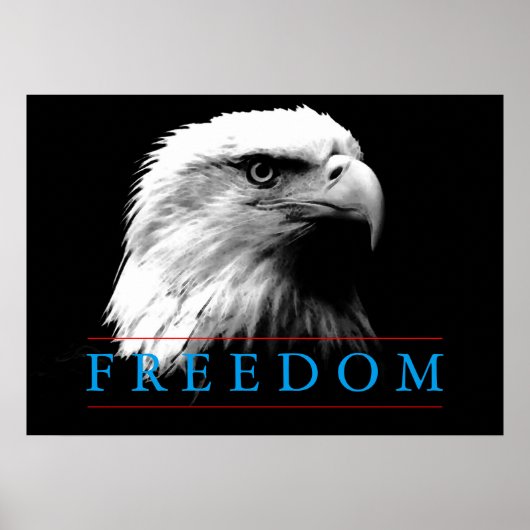 Poster noir blanc Liberté American Eagle (Devant)