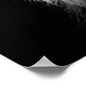 Poster noir blanc Lion - Art de la photographie an (Coin)