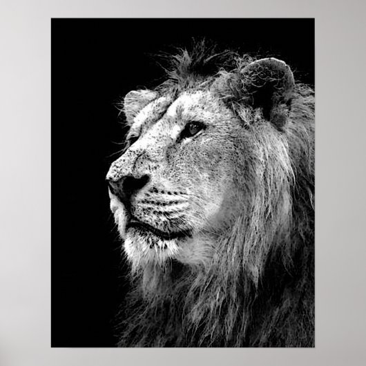 Poster noir blanc Lion - Art de la photographie an (Devant)