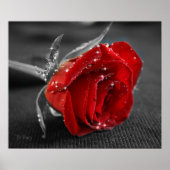 Poster Noir/Blanc/Rouge (Devant)