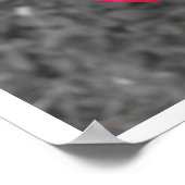 Poster noir blanc rouge rose (Coin)