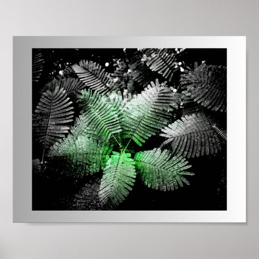 Poster Noir blanc vert Tropical Printable Art (Devant)