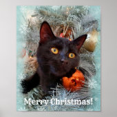 Poster Noir Chat Joyeux Noël (Devant)