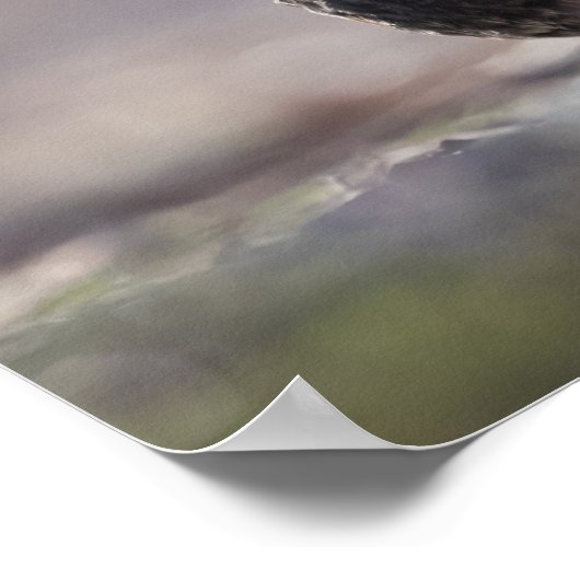 Poster Noir commun (Coin)