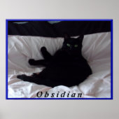 Poster noir de chat "Obsidian" (Devant)