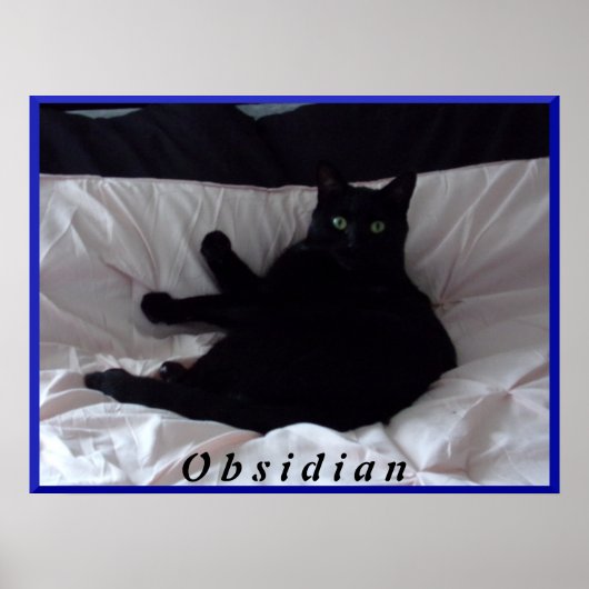Poster noir de chat "Obsidian" (Devant)