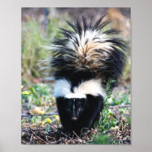 Poster Noir et blanc