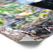 Poster Noir et blanc (Coin)