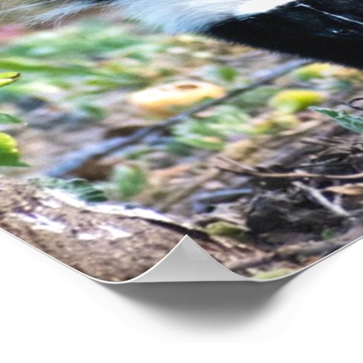 Poster Noir et blanc (Coin)