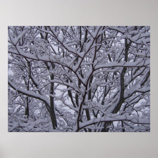 Poster Noir et blanc (Devant)