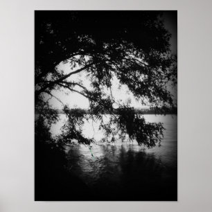 Poster Noir et blanc