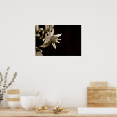 Poster noir et blanc Fuschia (Cuisine)