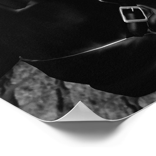 Poster Noir et blanc) - GRAND (Coin)