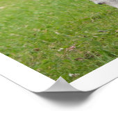 Poster Noir et blanc Grande Danse (Coin)