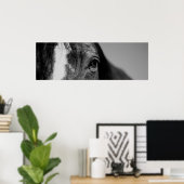 Poster Noir et blanc Gros plan Cheval Oeil (Bureau à domicile)