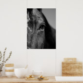 Poster Noir et blanc Gros plan Cheval Oeil OEuvre (Cuisine)