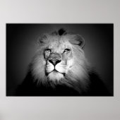 Poster noir et blanc Lion Imprimer (Devant)