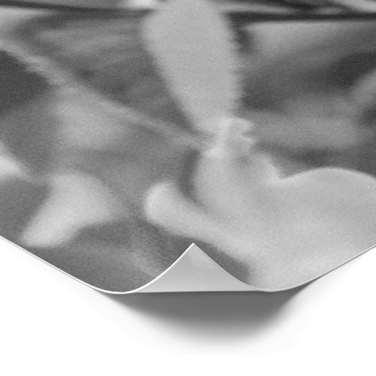 Poster Noir et blanc rose (Coin)