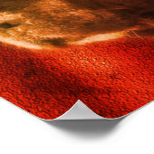 Poster Noir Et Blanc Terre-Neuve Chien Visage Abstrait (Coin)