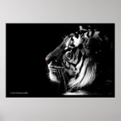 Poster noir et blanc Tiger (Devant)
