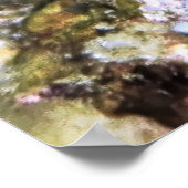 Poster Noir et or Damselfish (Coin)