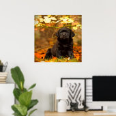 Poster Noir Labrador Retriever Puppy avec feuilles d'auto (Bureau à domicile)