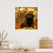 Poster Noir Labrador Retriever Puppy avec feuilles d'auto (Cuisine)