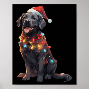 Poster Noir Labrador Retriever Santa Hat Christmas Light