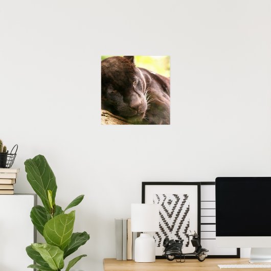 Poster noir Panther dormant (Bureau à domicile)