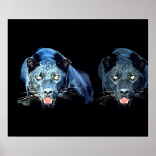 Poster noir sauvage Jaguar Cat Eyes Blue Tones