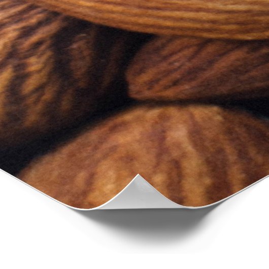 Poster Noix Brown (Coin)