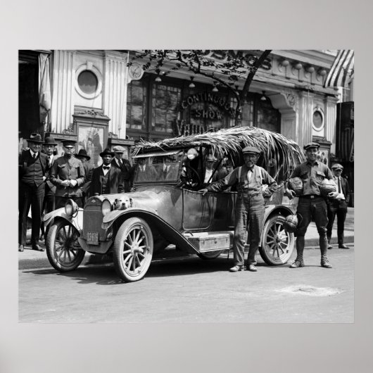 Poster Noix de coco : 1922 (Devant)