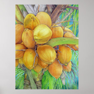 Poster Noix de coco d'or