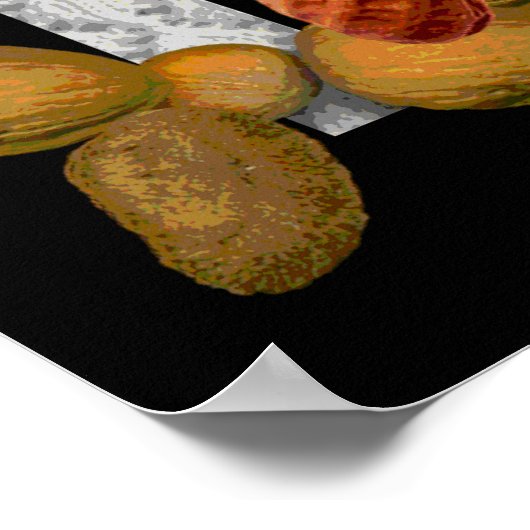 Poster Noix religieuses (Coin)