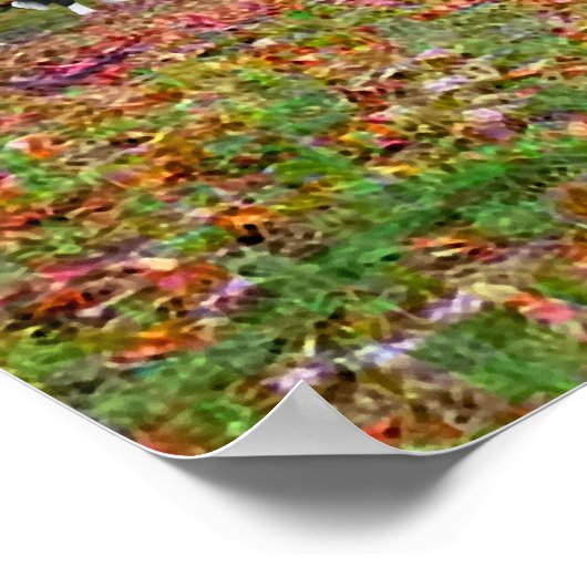 Poster "Nokomis" (Coin)