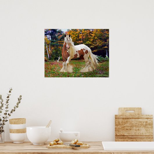 Poster "Nokomis" (Cuisine)