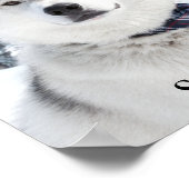 Poster Nom de la photo de l'animal de compagnie Imprimer, (Coin)