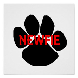 Poster nom de terre-neuve patte