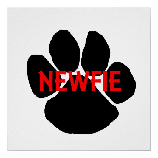 Poster nom de terre-neuve patte (Devant)