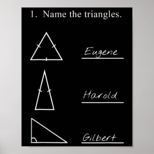 Poster Nom drôle de professeur de mathématiques Les trian