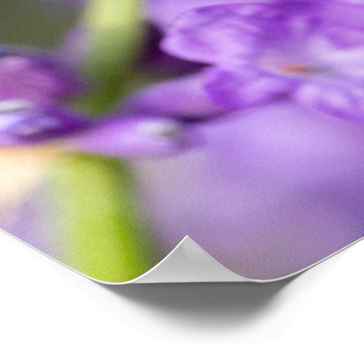 Poster Nom du prêteur (Coin)