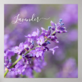 Poster Nom du prêteur (Devant)