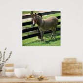 Poster Nom du zonkey pour âne et mélange zèbre (Cuisine)