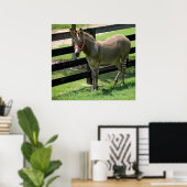 Poster Nom du zonkey pour âne et mélange zèbre (Bureau à domicile)