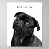 Poster Nom photo de chien de compagnie personnalisé Mur m (Devant)