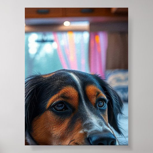 Poster Nom : Rêves de Chien Endormi (Devant)