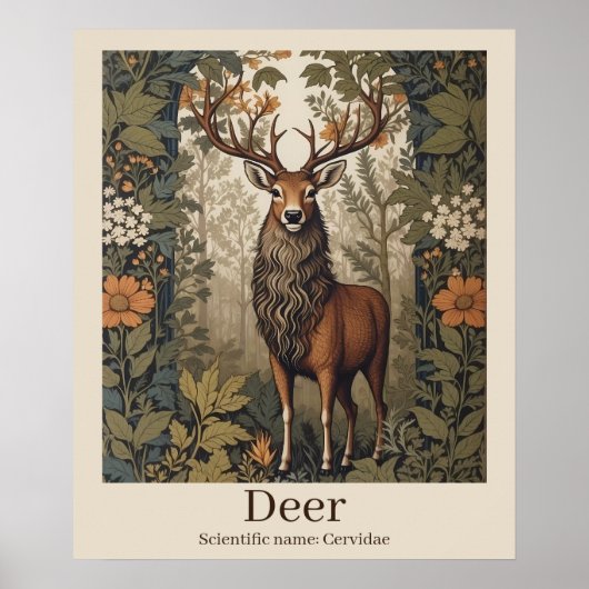 Poster Nom scientifique du cerf Faune (Devant)